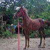 wailinphyo6060