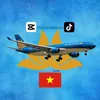 mangoplane26