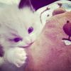 nhypen_lovver