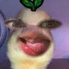 S💀