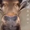 maly_kralsnalek