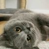 _luna42612_