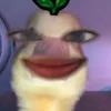 zaneforlife48