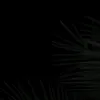 qi_zz_ad