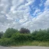 amineozbk1