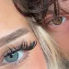 alexdmnk