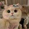 _mim_aktar1