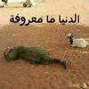 user86124504127565