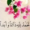 user7497245888501