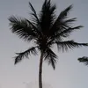 malia.fleming4
