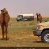abdullhal50