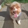 peter_b_b