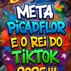 Meta PicadaFlor