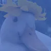 liluleeeeeeee