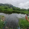ng.phu9555