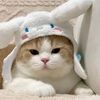 nisa.aqila065
