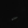 idcatthispoint02