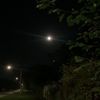 jeremyginn_156