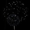 aashi_1219