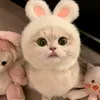 cannyyy0508