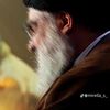 ali.haidar8117