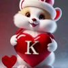 khurramking4428