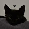 nyxshr0