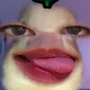 rizamaegingone