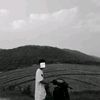 thaw.gyi.4