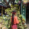 tharaphye6