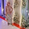 diancolection2