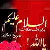 asimali2952