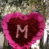 user53387270911254