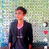 sapal.phyu3369