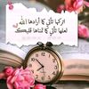 user2665382024841