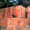 muhammad.hamid0329