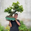 bay.thao.368