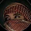 alkadiki3