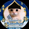 farelbibimfarelri