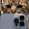 user2613820109404