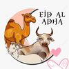 khalis_074