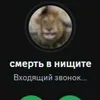 user39636139494318