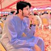 malik.tajamal.2791