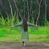 ruhiislam.10