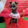 shelbythedog420