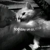 meoloveju
