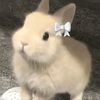 _popcorn_699