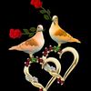 user1390410014865