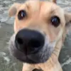 saoocungg.duocc