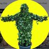 bushman